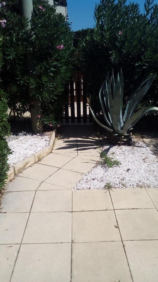 Studio De 27 M² + 70 M² De Jardin A 100 M Des Plages Cavalaire-sur-Mer Dış mekan fotoğraf